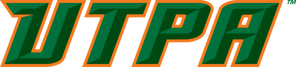 Texas-Pan American Broncs 2010-2014 Wordmark Logo v7 diy iron on heat transfer